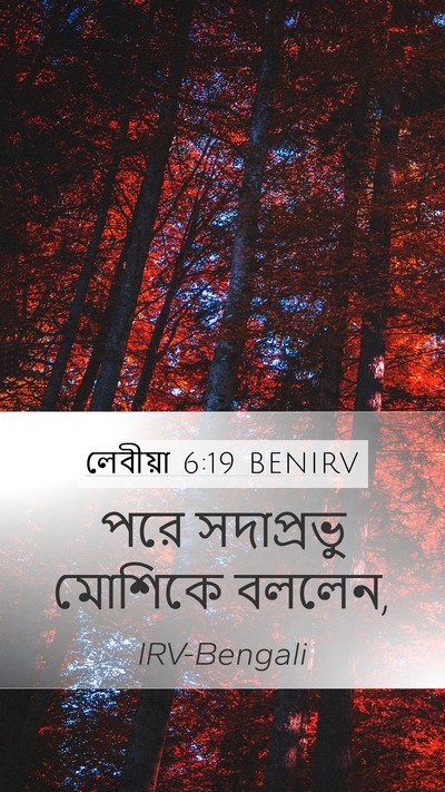 লেবীয়া 6:19 BENIRV Mobile Phone Wallpaper - পরে সদাপ্রভু - Mobile Bible Verse Wallpaper