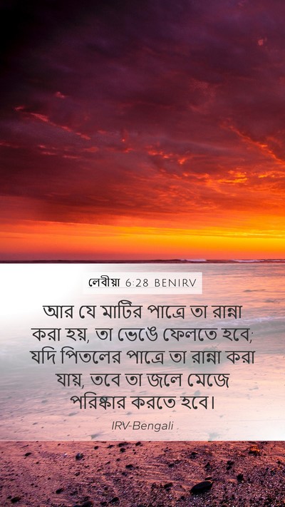 লেবীয়া 6:28 BENIRV Bible Verse Image