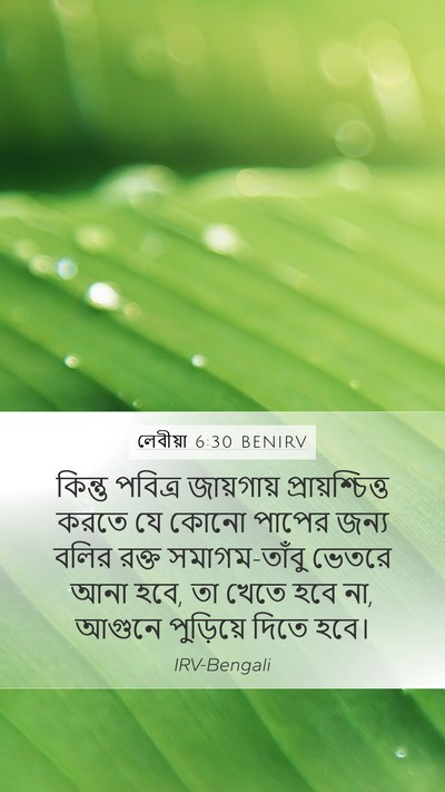 লেবীয়া 6:30 BENIRV Bible Verse Image