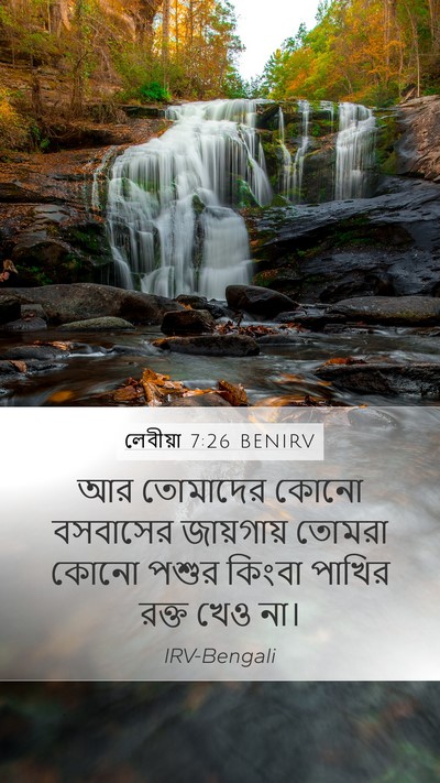 লেবীয়া 7:26 BENIRV Bible Verse Image