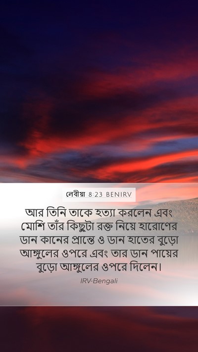 লেবীয়া 8:23 BENIRV Mobile Phone Wallpaper - আর তিনি তাকে হত্যা - Mobile Bible Verse Wallpaper