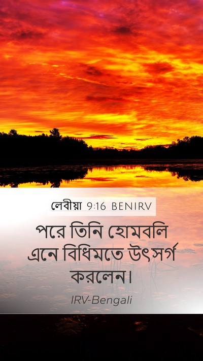 লেবীয়া 9:16 BENIRV Mobile Phone Wallpaper - পরে তিনি হোমবলি - Mobile Bible Verse Wallpaper
