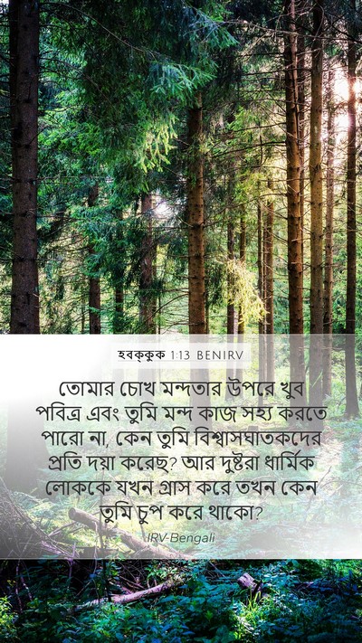 হবক্কুক 1:13 BENIRV Bible Verse Image