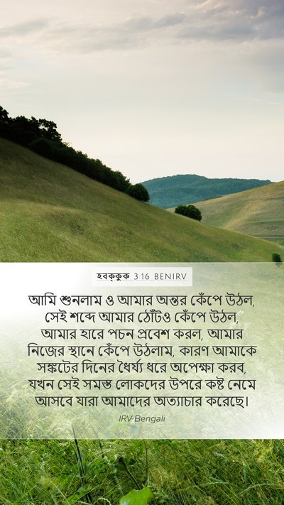 হবক্কুক 3:16 BENIRV Bible Verse Image