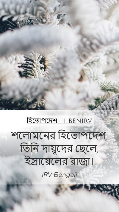 হিতোপদেশ 1:1 BENIRV Mobile Phone Wallpaper - শলোমনের হিতোপদেশ; - Mobile Bible Verse Wallpaper