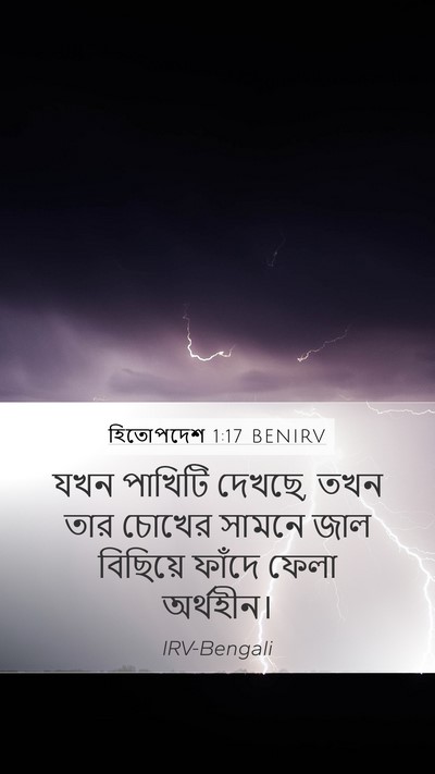 হিতোপদেশ 1:17 BENIRV Bible Verse Image