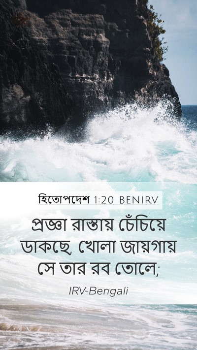 হিতোপদেশ 1:20 BENIRV Bible Verse Image
