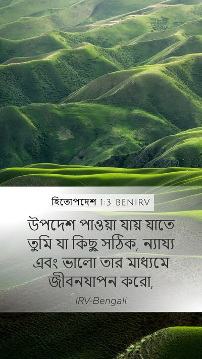 হিতোপদেশ 1:3 BENIRV Bible Verse Image