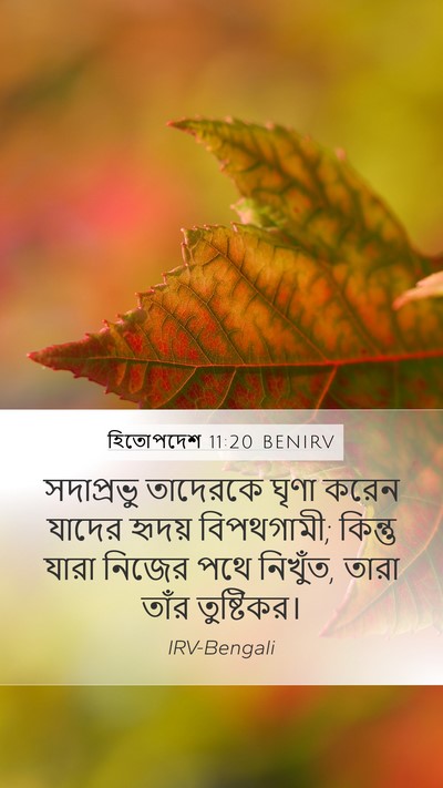 হিতোপদেশ 11:20 BENIRV Bible Verse Image