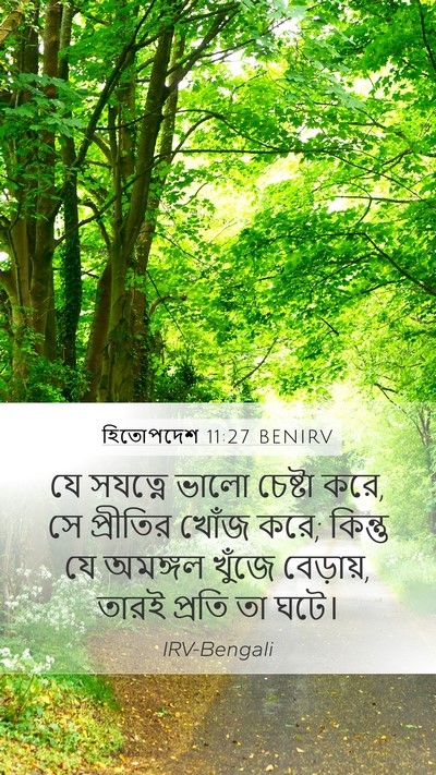হিতোপদেশ 11:27 BENIRV Mobile Phone Wallpaper - যে সযত্নে ভালো - Mobile Bible Verse Wallpaper