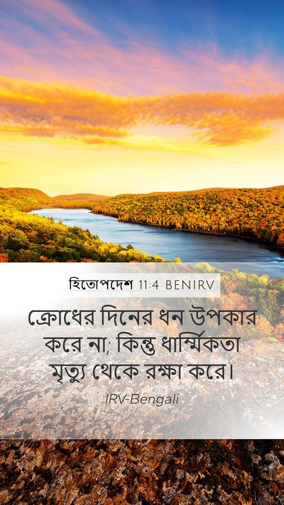 হিতোপদেশ 11:4 BENIRV Bible Verse Image