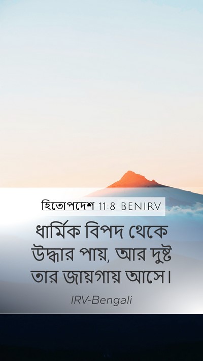 হিতোপদেশ 11:8 BENIRV Bible Verse Image