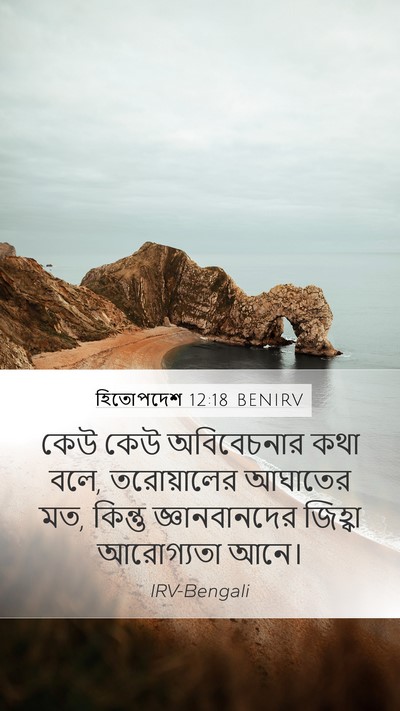 হিতোপদেশ 12:18 BENIRV Bible Verse Image