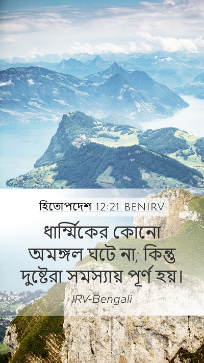 হিতোপদেশ 12:21 BENIRV Bible Verse Image