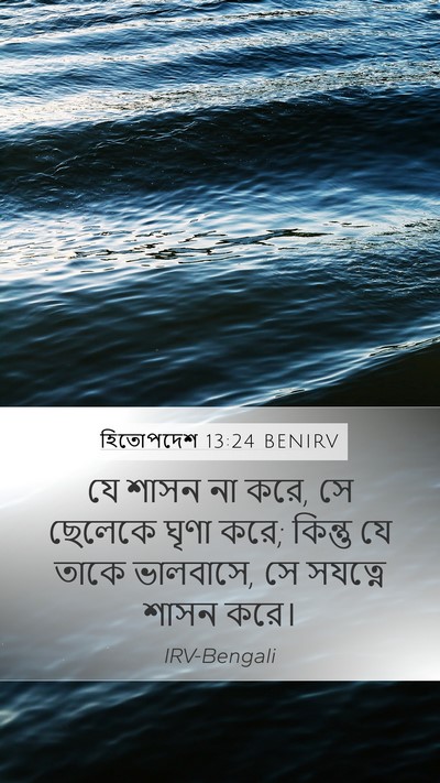 হিতোপদেশ 13:24 BENIRV Bible Verse Image