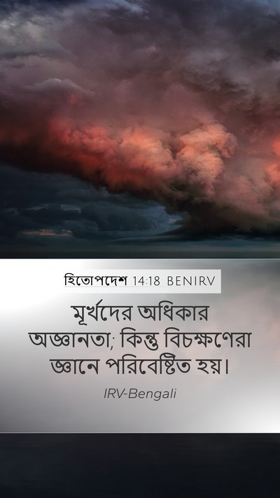 হিতোপদেশ 14:18 BENIRV Bible Verse Image