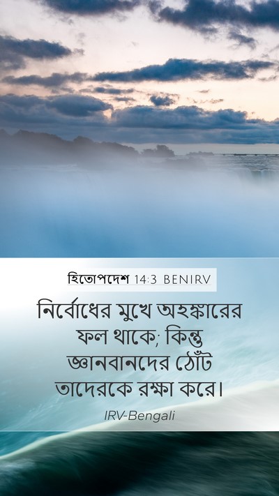 হিতোপদেশ 14:3 BENIRV Bible Verse Image