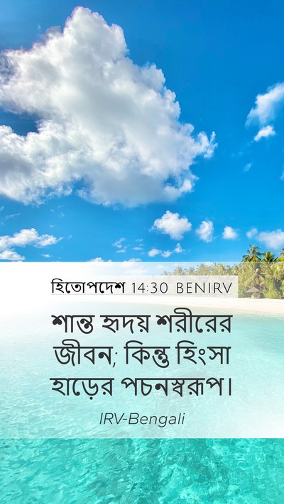 হিতোপদেশ 14:30 BENIRV Bible Verse Image