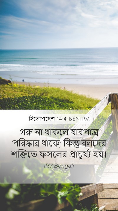 হিতোপদেশ 14:4 BENIRV Mobile Phone Wallpaper - গরু না থাকলে - Mobile Bible Verse Wallpaper