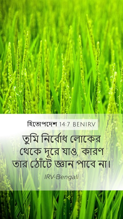 হিতোপদেশ 14:7 BENIRV Mobile Phone Wallpaper - তুমি নির্বোধ - Mobile Bible Verse Wallpaper