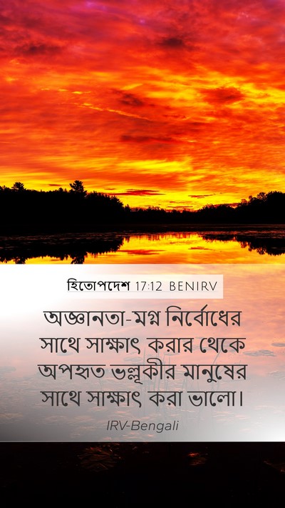 হিতোপদেশ 17:12 BENIRV Bible Verse Image