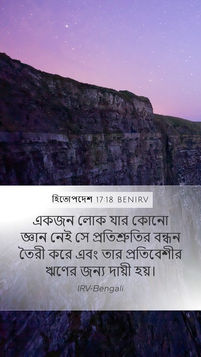 হিতোপদেশ 17:18 BENIRV Bible Verse Image