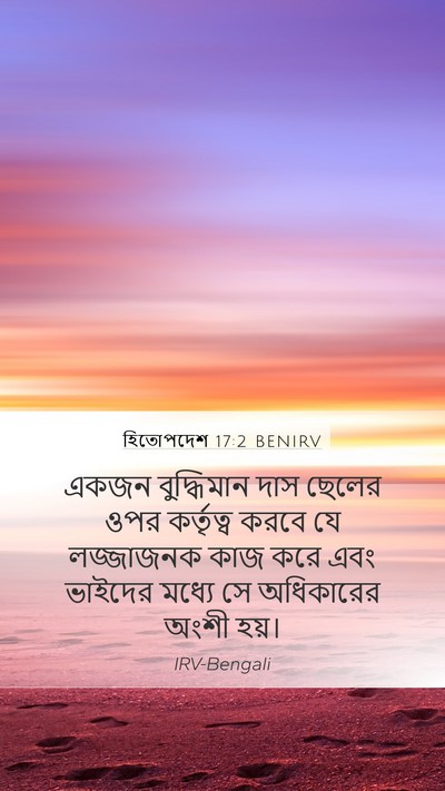 হিতোপদেশ 17:2 BENIRV Bible Verse Image