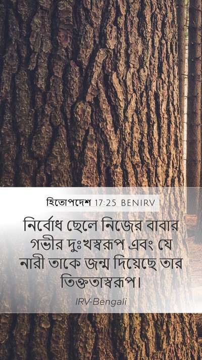 হিতোপদেশ 17:25 BENIRV Bible Verse Image