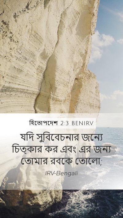 হিতোপদেশ 2:3 BENIRV Bible Verse Image