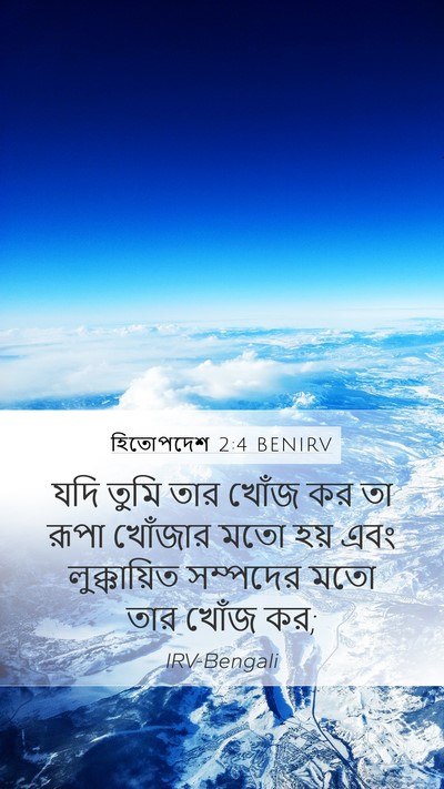 হিতোপদেশ 2:4 BENIRV Bible Verse Image