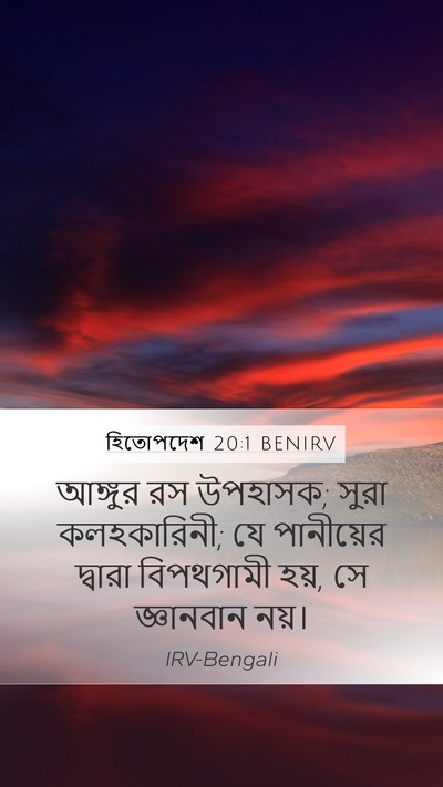 হিতোপদেশ 20:1 BENIRV Mobile Phone Wallpaper - আঙ্গুর রস উপহাসক; - Mobile Bible Verse Wallpaper