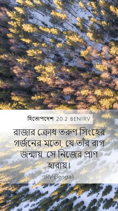 হিতোপদেশ 20:2 BENIRV Bible Verse Image