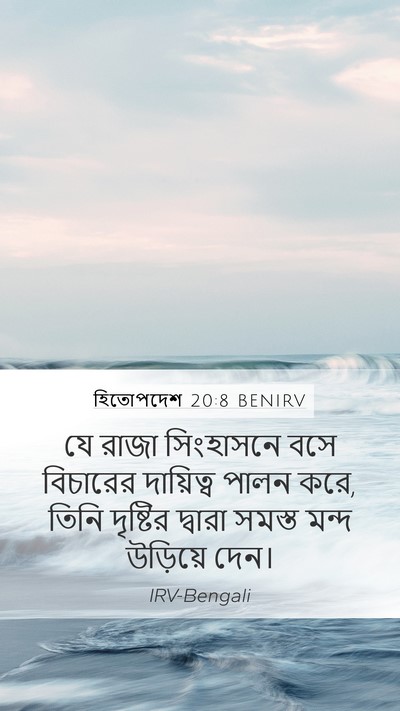 হিতোপদেশ 20:8 BENIRV Bible Verse Image