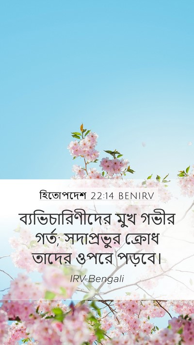 হিতোপদেশ 22:14 BENIRV Bible Verse Image