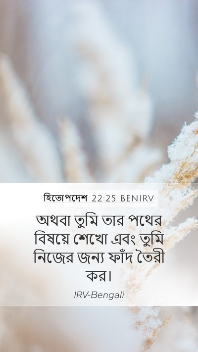 হিতোপদেশ 22:25 BENIRV Mobile Phone Wallpaper - অথবা তুমি তার পথের - Mobile Bible Verse Wallpaper