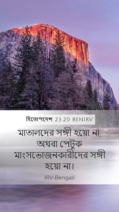 হিতোপদেশ 23:20 BENIRV Bible Verse Image