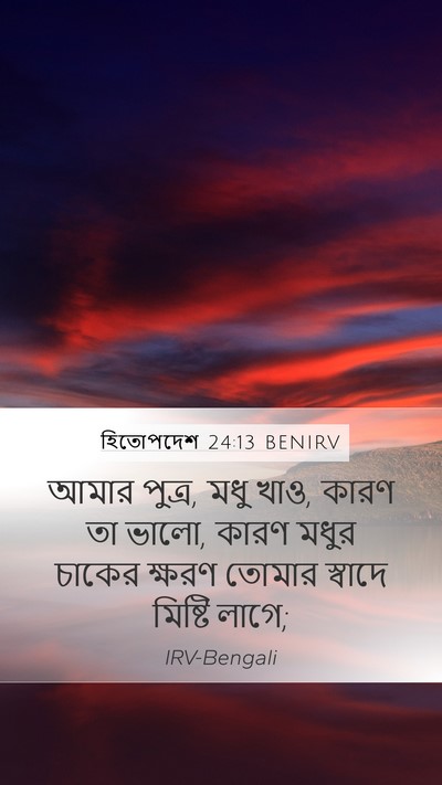 হিতোপদেশ 24:13 BENIRV Bible Verse Image