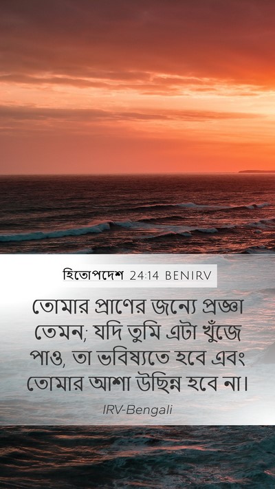 হিতোপদেশ 24:14 BENIRV Bible Verse Image