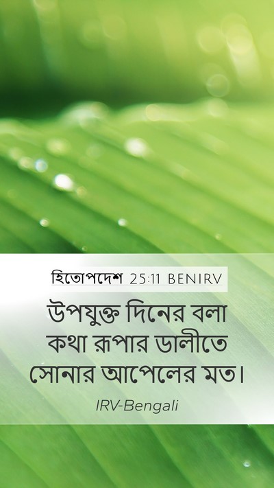 হিতোপদেশ 25:11 BENIRV Bible Verse Image