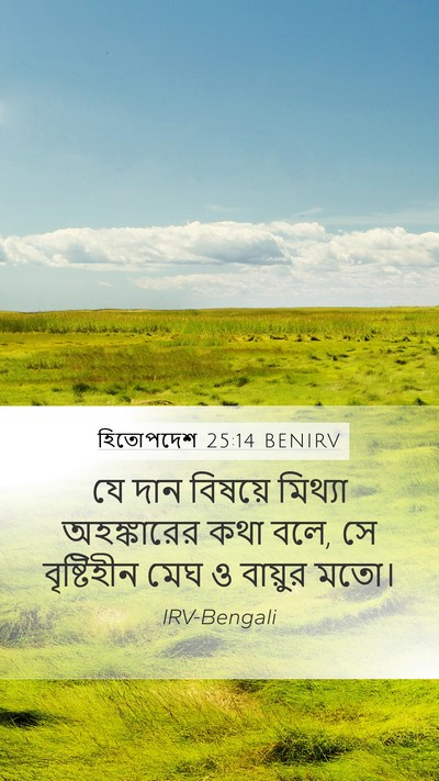 হিতোপদেশ 25:14 BENIRV Mobile Phone Wallpaper - যে দান বিষয়ে - Mobile Bible Verse Wallpaper