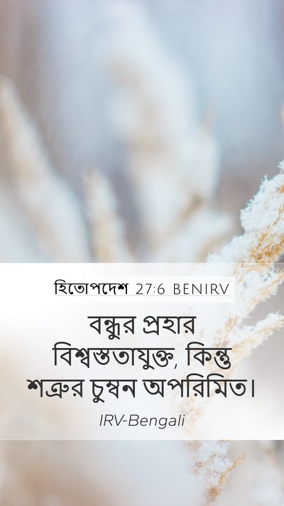 হিতোপদেশ 27:6 BENIRV Bible Verse Image