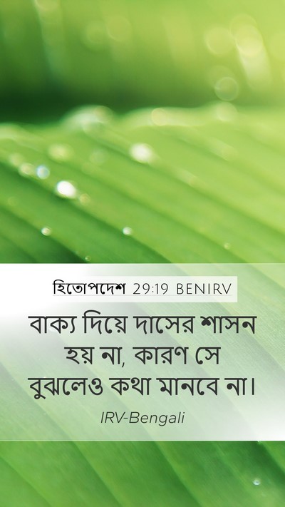 হিতোপদেশ 29:19 BENIRV Bible Verse Image