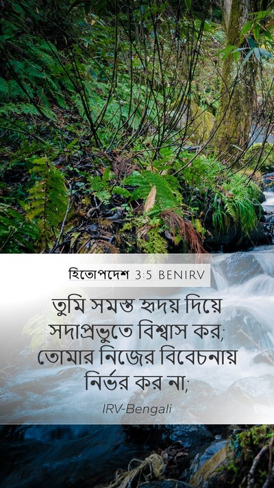 হিতোপদেশ 3:5 BENIRV Bible Verse Image