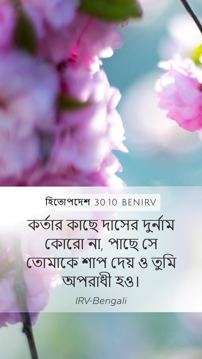 হিতোপদেশ 30:10 BENIRV Bible Verse Image