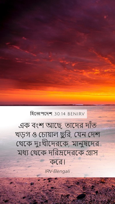হিতোপদেশ 30:14 BENIRV Bible Verse Image