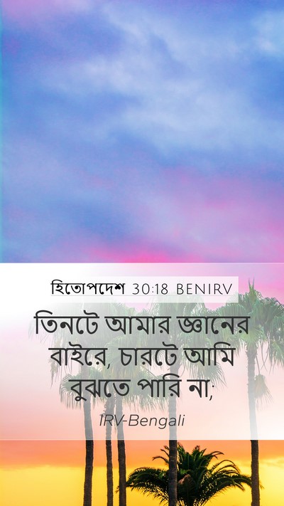 হিতোপদেশ 30:18 BENIRV Mobile Phone Wallpaper - তিনটে আমার - Mobile Bible Verse Wallpaper