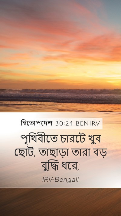 হিতোপদেশ 30:24 BENIRV Bible Verse Image