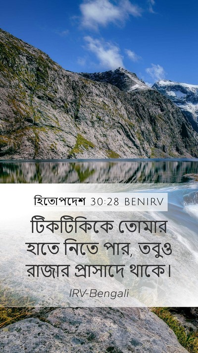 হিতোপদেশ 30:28 BENIRV Mobile Phone Wallpaper - টিকটিকিকে তোমার - Mobile Bible Verse Wallpaper