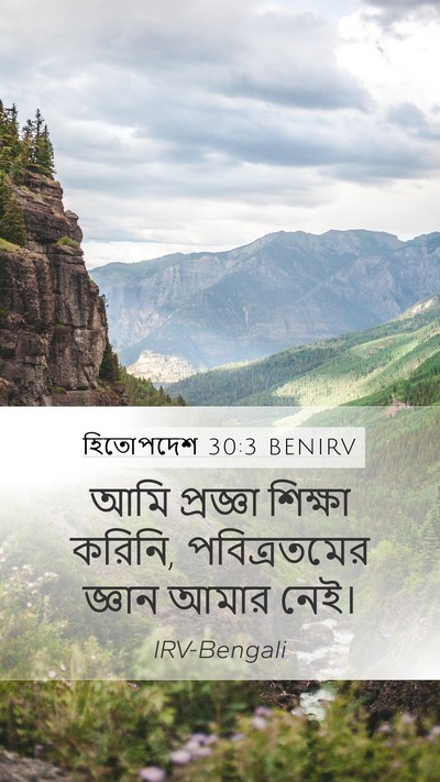হিতোপদেশ 30:3 BENIRV Mobile Phone Wallpaper - আমি প্রজ্ঞা - Mobile Bible Verse Wallpaper