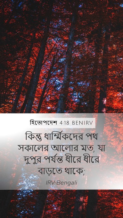 হিতোপদেশ 4:18 BENIRV Bible Verse Image